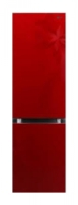 Холодильник LG GA-B 489 TGRF