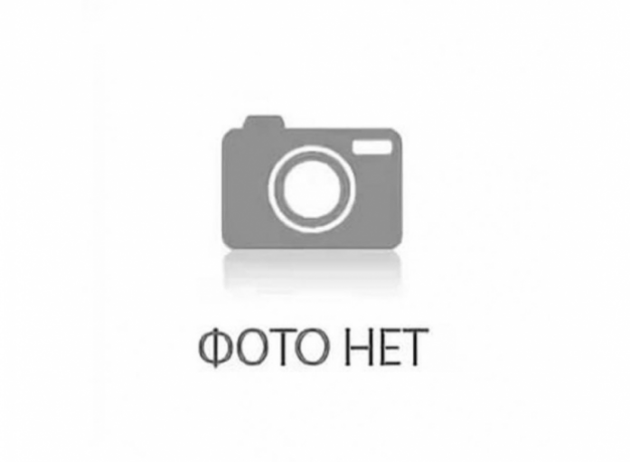 Холодильник DON R-295 GIF графит цветы